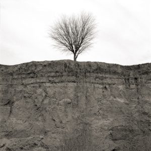 finne art black and white