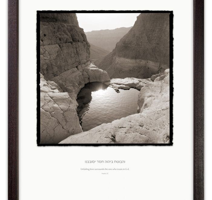 springs in arid land