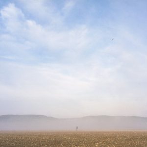 israel zen landscape