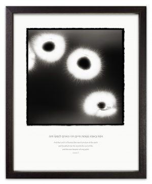 kirillian photography