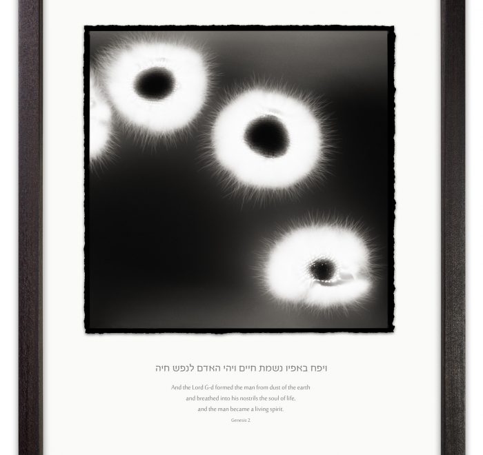 kirillian photography