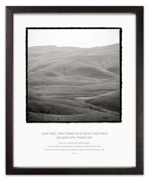 green black and white pastures