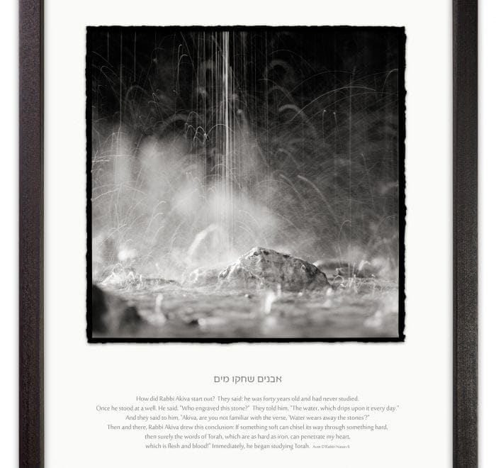 water drops ein gedi