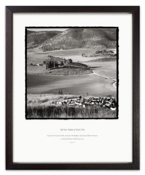 holyland shepherd view